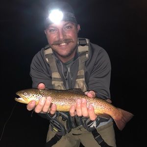 Meet your Posher, Hunter